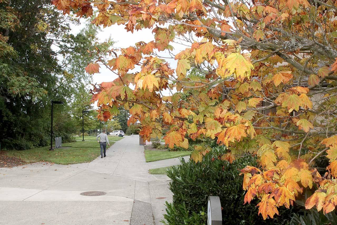 (Dave Logan/for Peninsula Daily News)