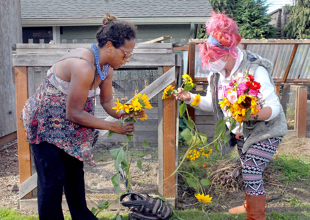 (Keith Thorpe/Peninsula Daily News)