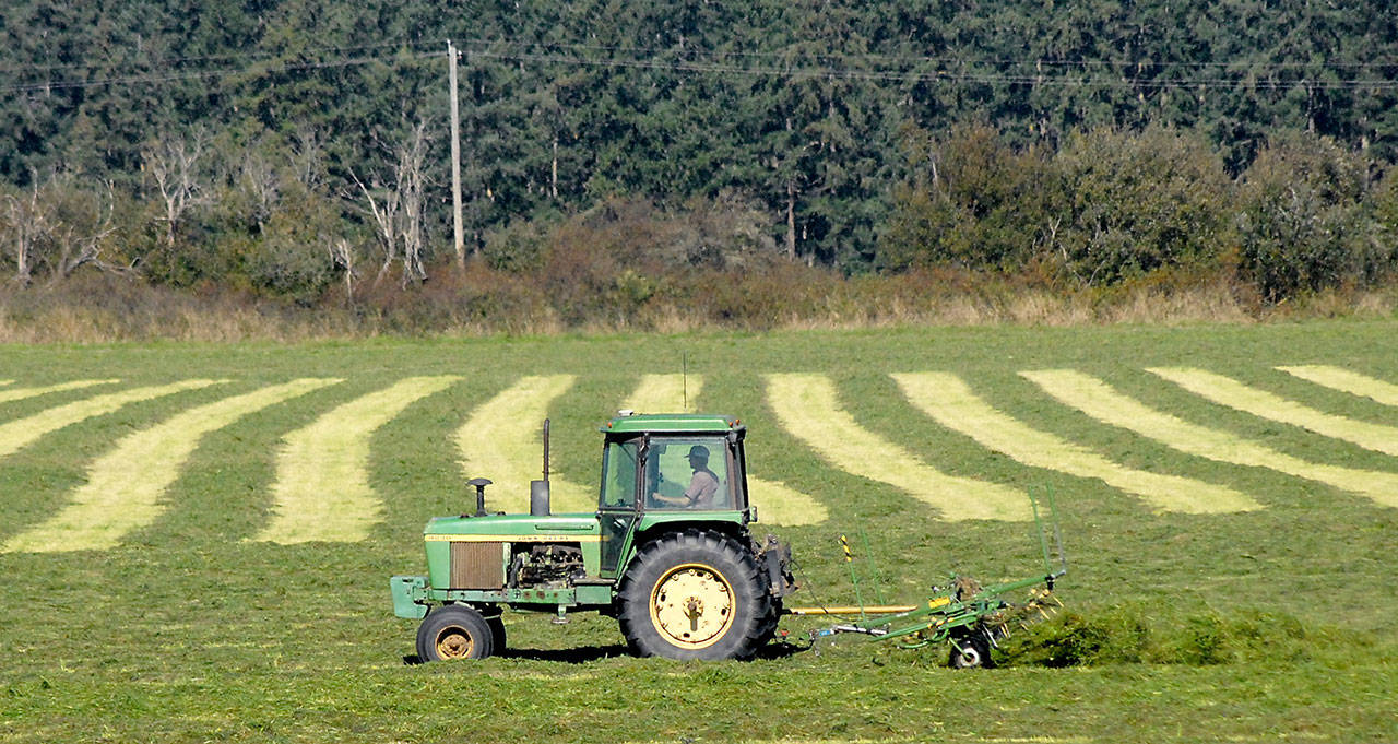 (Keith Thorpe/Peninsula Daily News)