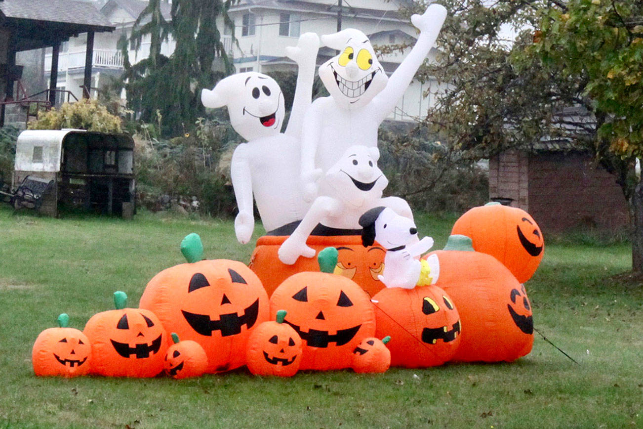 Happy ghosts hopping out of a cast of pumpkins smile at you from an open lot at 12th and “C” Street in west Port Angeles. They make for a fun yet scary Halloween come this Saturday.