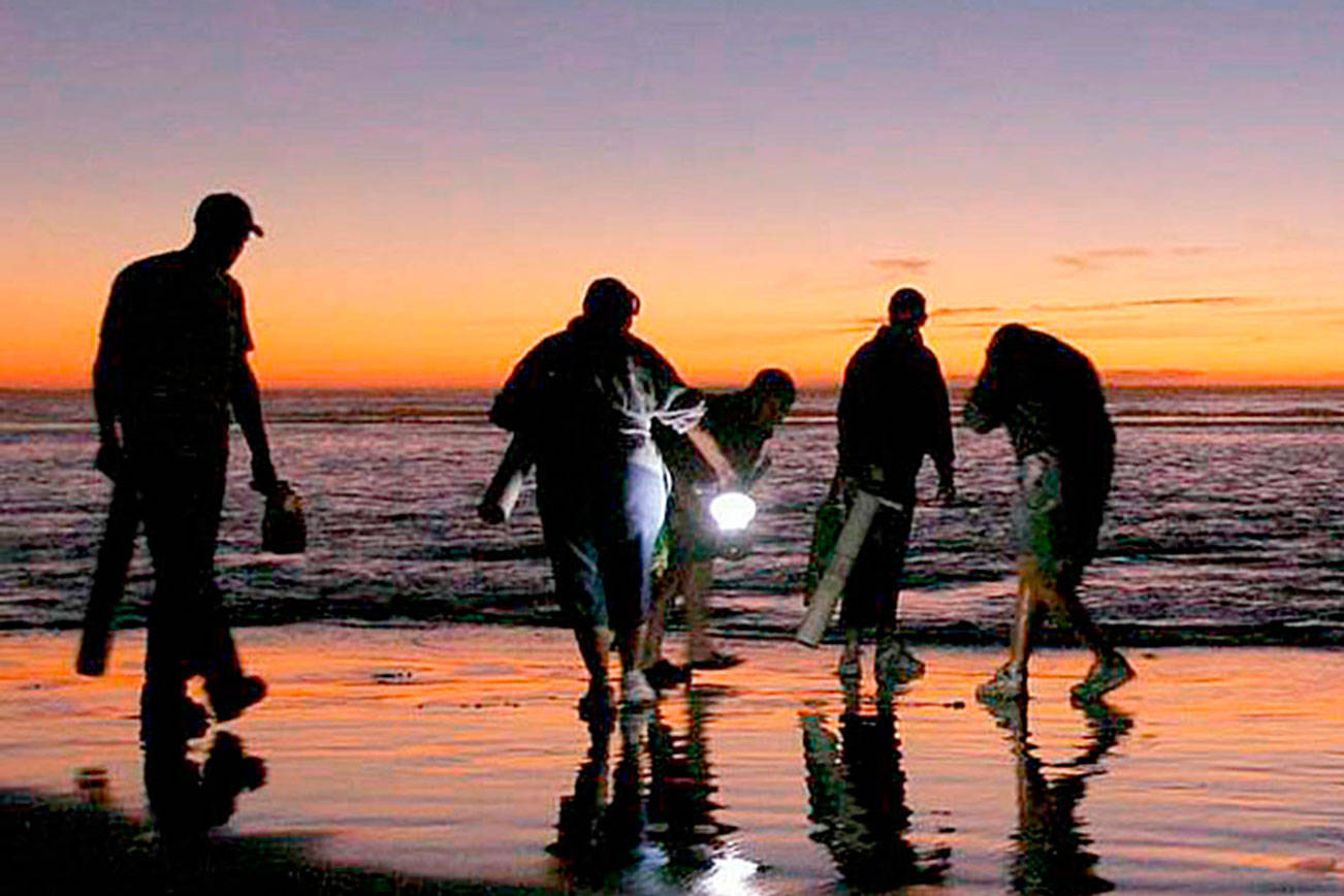 Dan Ayres/Washington Department of Fish and Wildlife
Razor clam digs on the outer Pacific Coast have been canceled until at least Nov. 13.