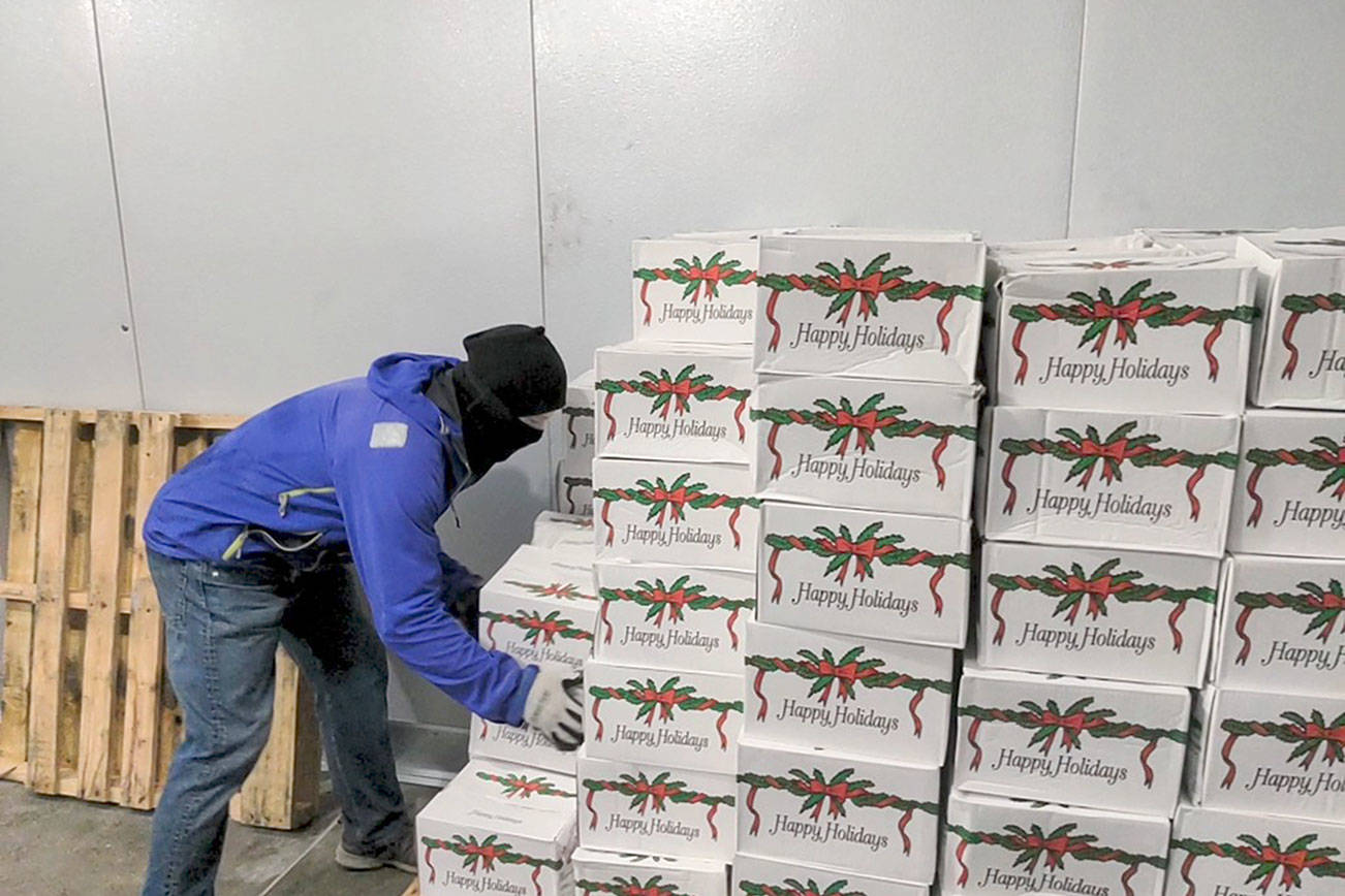 Jefferson County Food Banks Association volunteer Chance Worton stacks boxes of ham inside the refrigeration unit at the Tri-Area Food Bank on Thursday. Harbor Foodservice of Kent delivered 533 discounted hams to be distributed to families of all four food banks in Jefferson County. (Zach Jablonski/Peninsula Daily News)