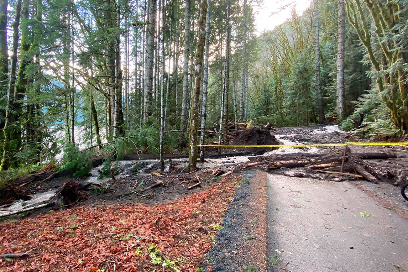A landslide blocks safe passage along the Spruce Railroad Trail. Olympic National Park officials said that heavy rain was the cause. (Photo courtesy of Noel Carey)