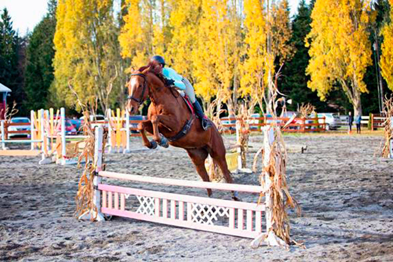 As Fox-Bell Farm Assistant Coach Chloe McGee guides Cooper through a series of jumps, he sails over each one with room to spare. The farm adopted Cooper from a local rescue facility, trained and schooled him, and now he’s one of its lesson horses for more experienced riders. Below, Hayden Martinez takes a riding lesson on Bingo, one of Fox-Bell Farm’s lesson horses. (Meghan Lawson/Two Red Dogs Photography)