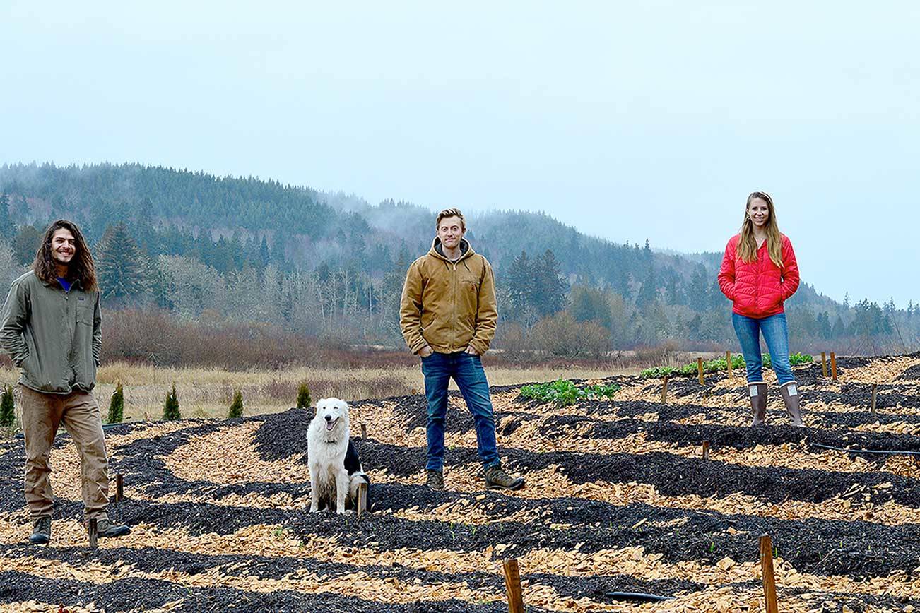 Matt Montoya, left, Ben Thompson and his sister Grace Thompson stand with River the farm dog on the newly preserved Kodama Farm in Chimacum. (Diane Urbani de la Paz/Peninsula Daily News)