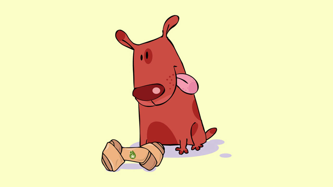 Top 3 CBD Dog Treat main image