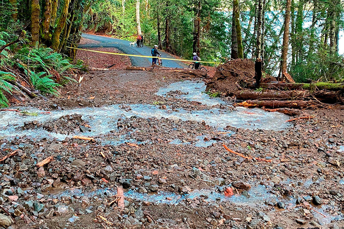 A landslide blocks safe passage along the Spruce Railroad Trail. Olympic National Park officials said heavy rain was the cause. (Photo courtesy of Noel Carey)