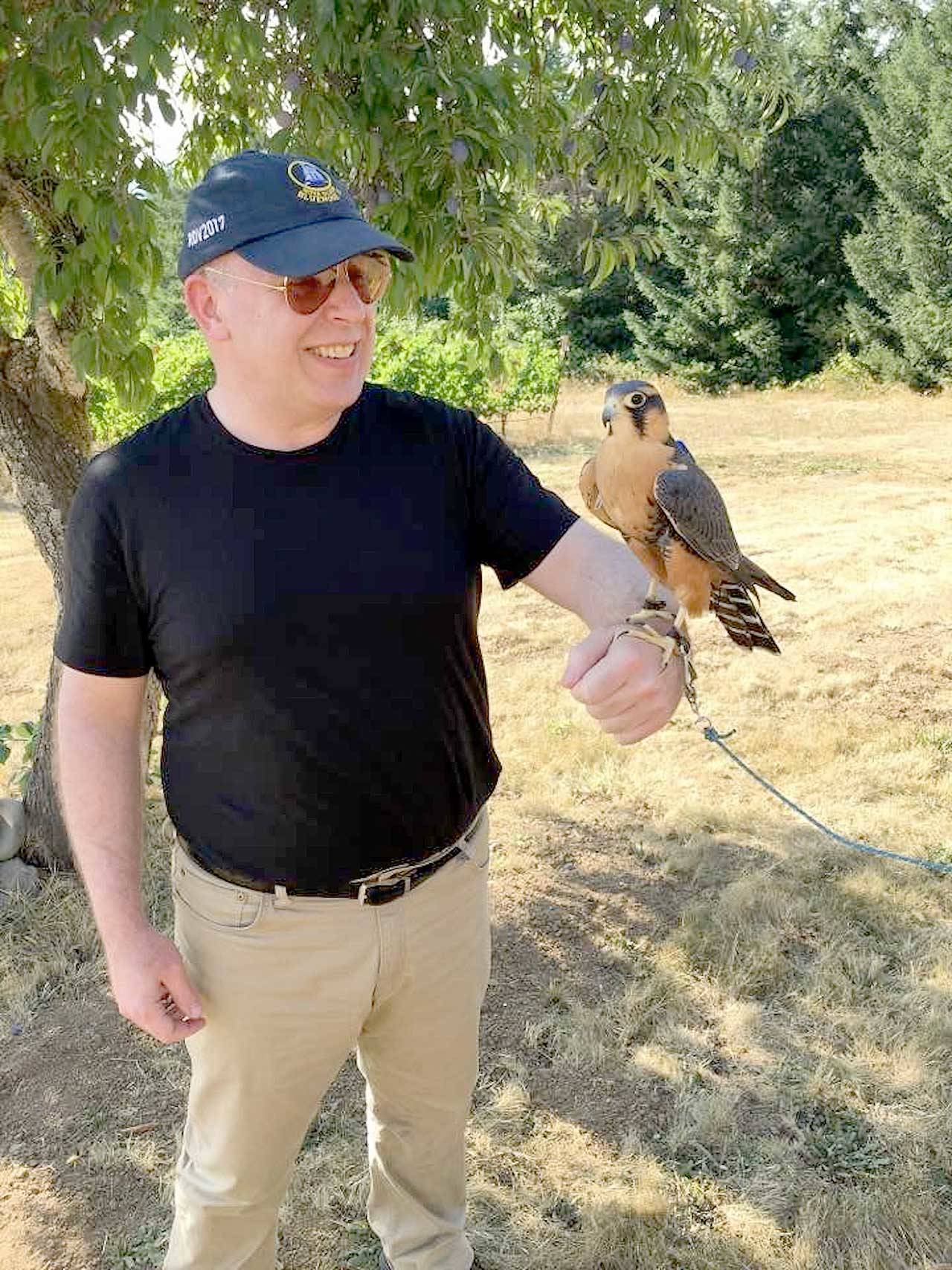 During a summer visit to the Tanager Vineyard in Oregon, Port Angeles Symphony conductor and music director Jonathan Pasternack marvels at an Aplomado falcon. A weekend stay at the Willamette Valley winery where these falcons work is among the items up for bid in the symphony’s “Applause!” Auction this week. (Photo courtesy of Port Angeles Symphony Orchestra)