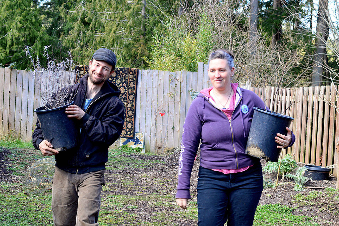 Ashley Kehl, left, and his wife Jennimae Hillyard will host the 10th annual Plant & Seed Exchange in Port Townsend on Sunday. (Diane Urbani de la Paz/Peninsula Daily News)
