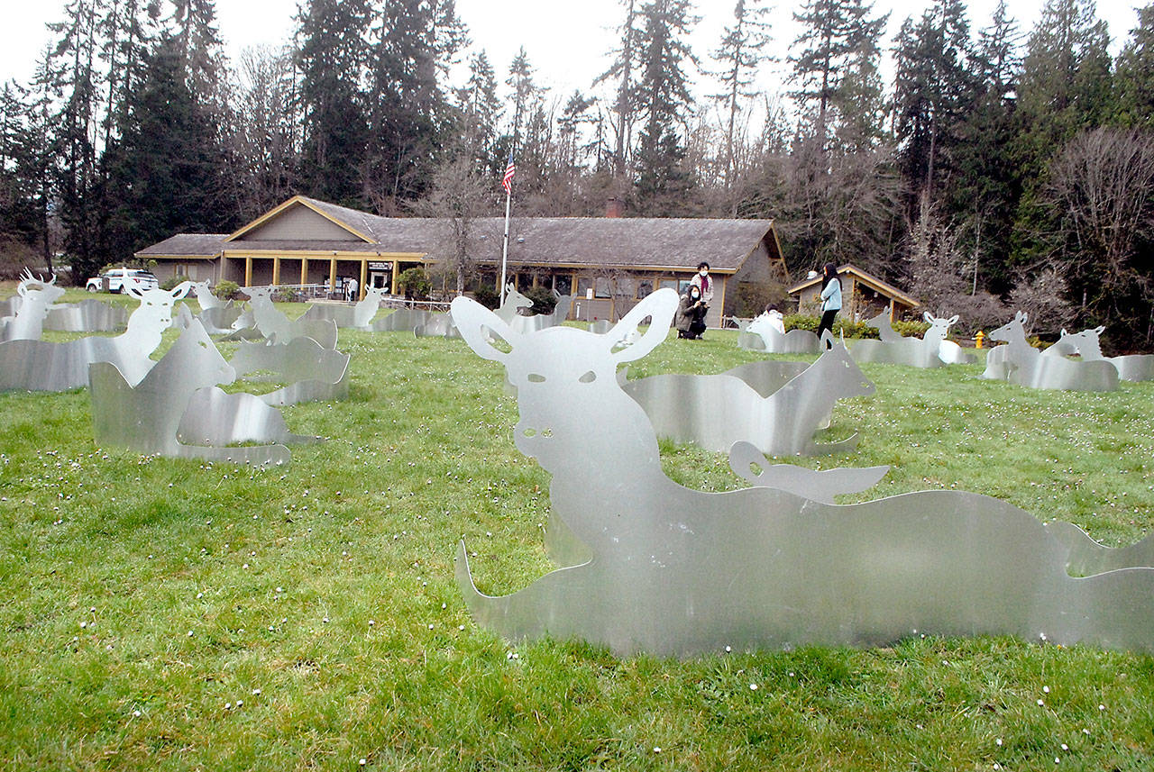 Olympic National Park visitors wander among an art installation of silhouetted aluminum Roosevelt elk on the front lawn of the Port Angeles visitor center on Thursday. The installation, “Conservation from Here” by Arlington-based artist Joseph Rossano, consists of about 130 elk scattered across the lawn and was produced in cooperation with the Port Angeles Fine Arts Center. A smaller “herd” is also on display at the Hoh visitor center. The sculptures are scheduled to be in place through Labor Day. (Keith Thorpe/Peninsula Daily News)
