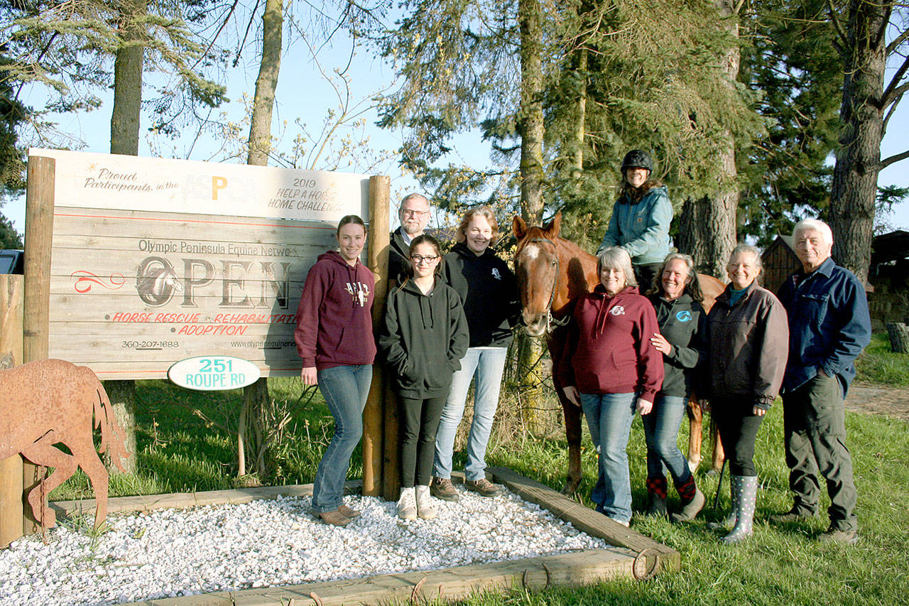 OPEN board members and volunteers are full of smiles after a recent anonymous supporter asked how she could help. She paid the veterinarian’s fee to fully exam four horses, float the teeth on three and ended up taking home two of them, agreeing to provide them a forever retirement home in her ample pastures. (Karen Griffiths/for Peninsula Daily News)