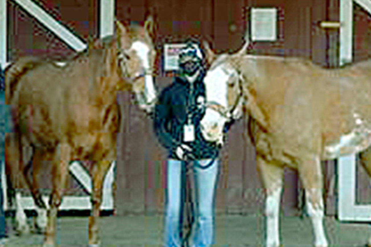Photo courtesy Katharyn Rivers
Port Angeles' and Sequim’s high school equestrian teams gained three first-place and four second-place wins at their second meet held April 9-11.  The Port Angeles team, from left, are Amelia Kinney with Gus and Cupcake, Sara Holland with Diesel, Katherine Marchant with Smokey, Coach Nancy McCaleb, Sydney Hutton with Ginger and Haley Bishop with Speckles and Flash.
