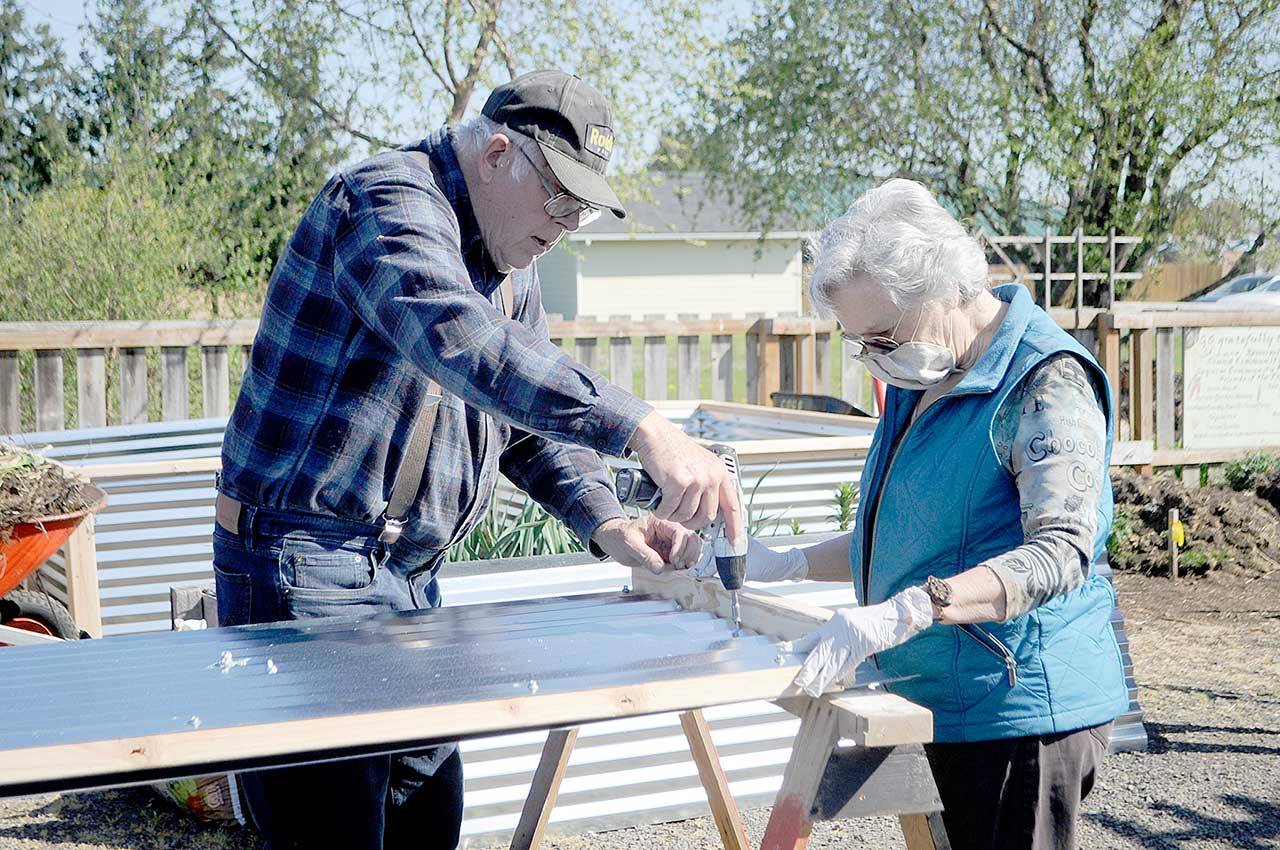 Gardener Bob Caldwell, left, and Sue Scott work to build one of the walls of a raised bed in the Fir Street Community Garden. Gardeners from Community Organic Gardens of Sequim built five raised beds earlier this month at the site at 525 N. Fifth Ave. Participants share community service hours ranging from weeding pathways and community plots of blueberries and flowers to making signs or calling fellow gardeners with messages. Fees are $45 a year for a bed or plot, which includes a bag of compost from The Co-Op Farm and Garden, compost from Lazy J Tree Farm and water. For information on availability, call Liz Harper at 360-477-4881. (Matthew Nash/Olympic Peninsula News Group)