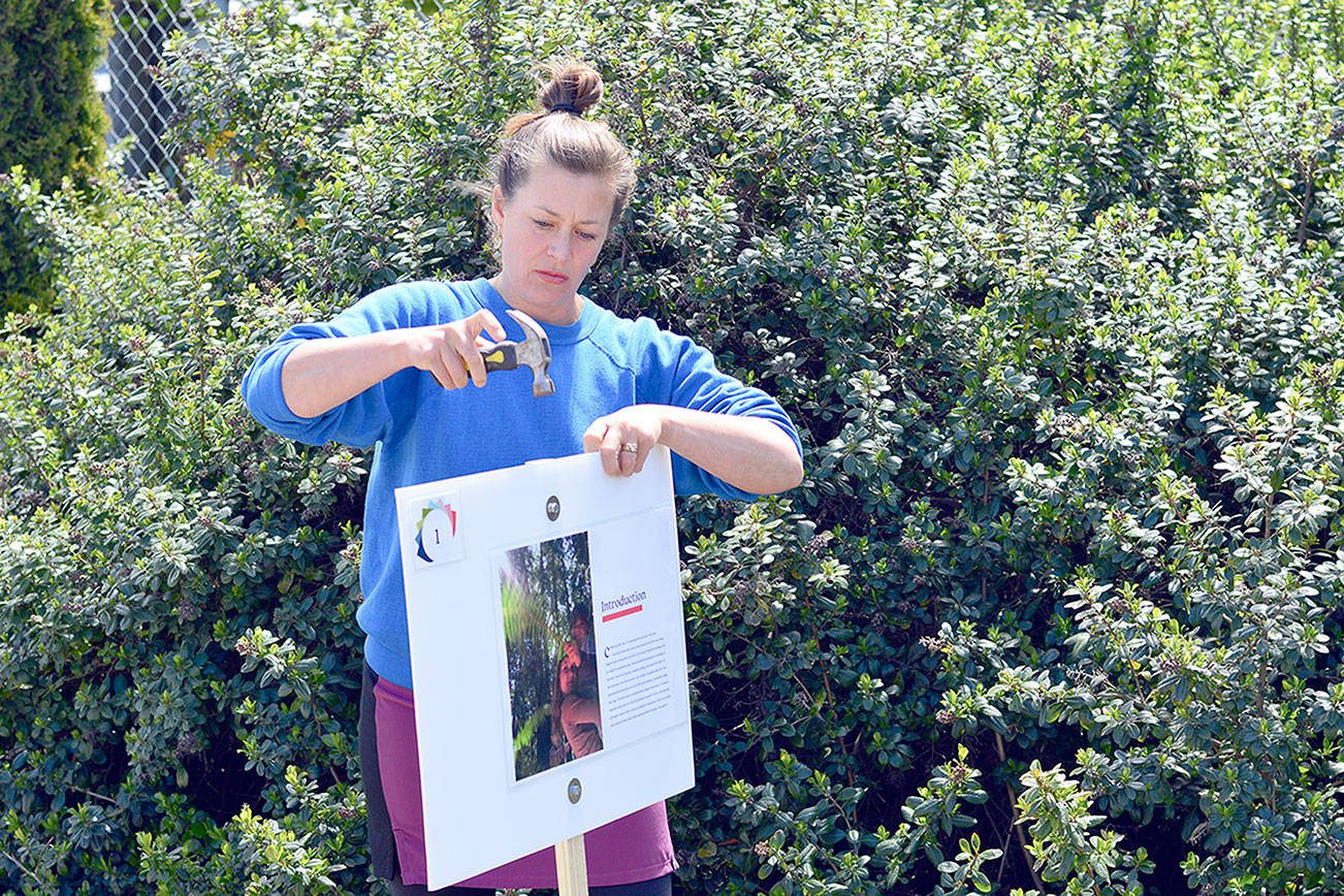 Katy Bowman, author of “Grow Wild: The Whole Child, Whole Family, Nature-Rich Guide to Moving More,” will array pages of the book along a mile-long walking route at Chimacum’s Finnriver Farm & Cidery on Sunday afternoon. The “book walk” is free to the public. (Diane Urbani de la Paz/Peninsula Daily News)