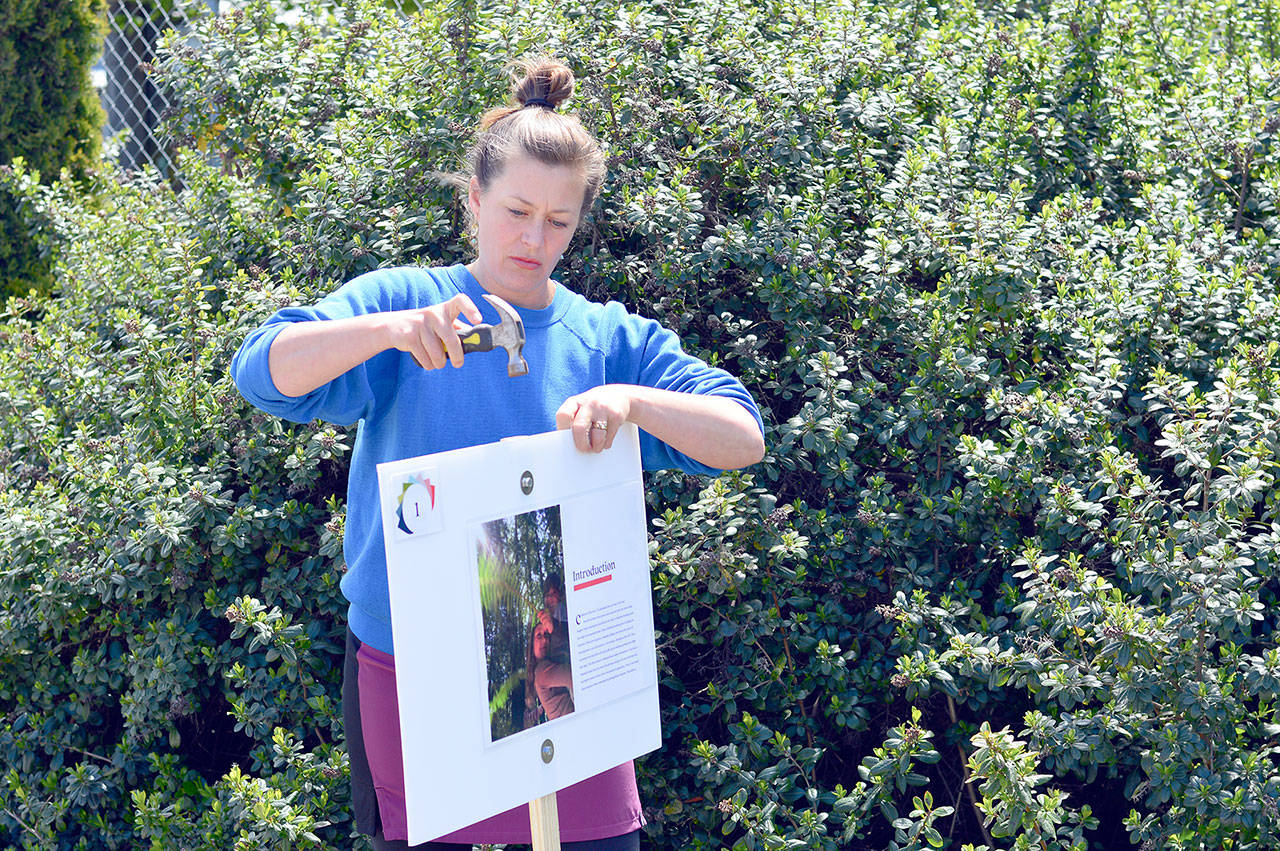 Katy Bowman, author of “Grow Wild: The Whole Child, Whole Family, Nature-Rich Guide to Moving More,” will array pages of the book along a mile-long walking route at Chimacum’s Finnriver Farm & Cidery on Sunday afternoon. The “book walk” is free to the public. (Diane Urbani de la Paz/Peninsula Daily News)