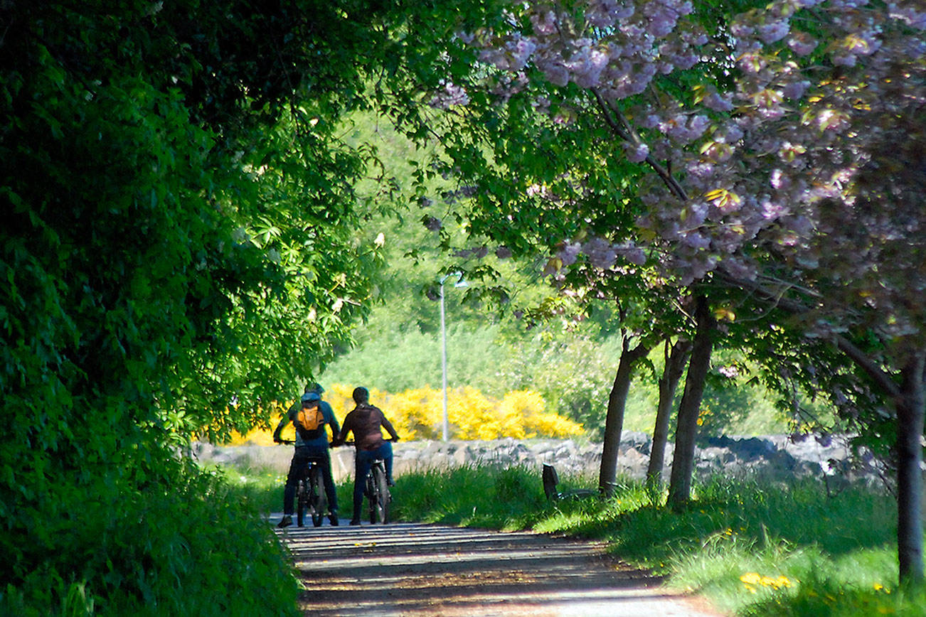 Keith Thorpe/Peninsula Daily News
A pair of bicyclists make their way along the Waterfront Trail east of dowtown Piort Angeles on Thursday. The trail, a poppular route for bicyclists and pedestraians, makes its way along or near the shore of Port Angeles Harbor from Morse Creek to Ediz hook.