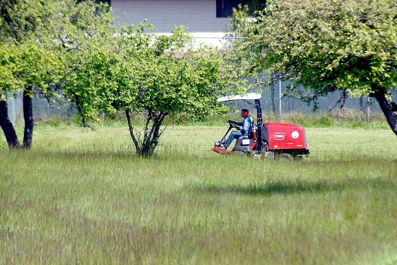 A mower cuts grass around the trees in Lions Park in Port Angeles on Wednesday. Lawn-mowing weather is expected to continue across the North Olympic Peninsula into the weekend with a chance of showers forecast for Sunday. (Keith Thorpe/Peninsula Daily News)