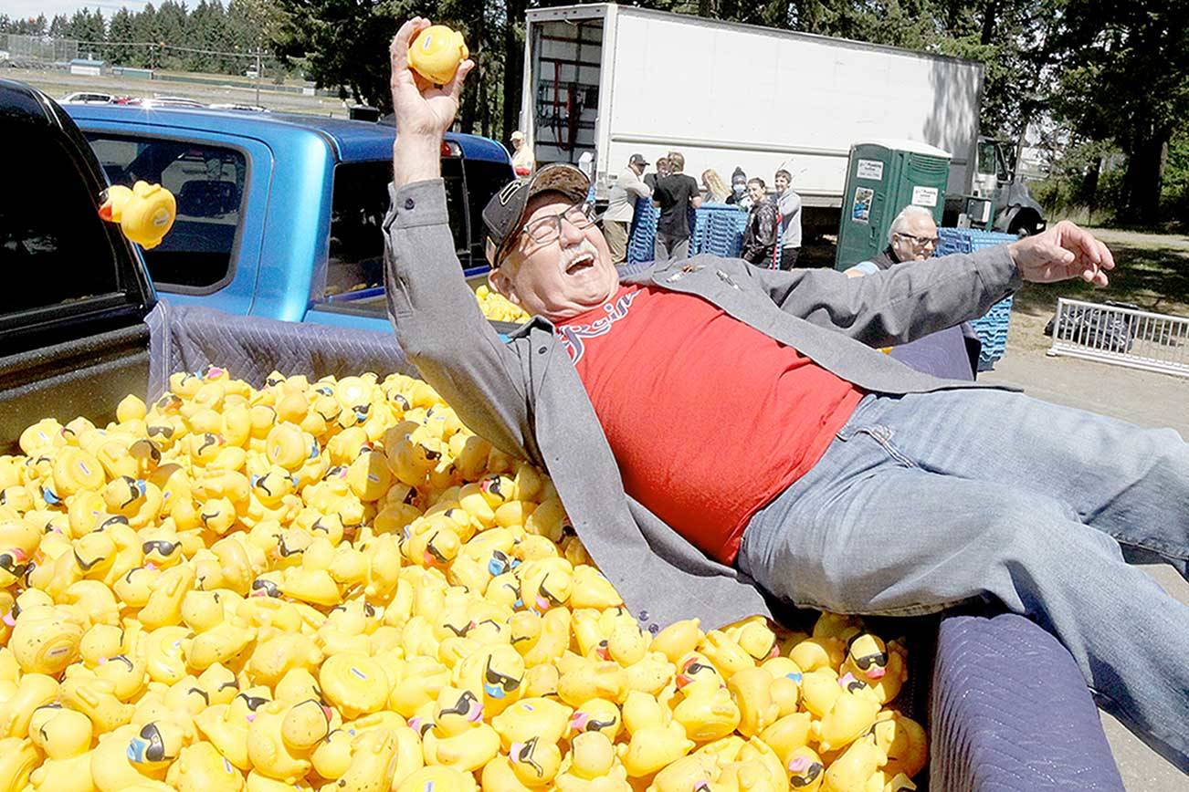 Ron Allen, CEO of the Jamestown S’Klallam Tribe, has fun grabbing one of the 40 winning ducks for the Duck Derby on Sunday at Lincoln Park in Port Angeles. The tribe is one of the major sponsors of the event. (Dave Logan/for Peninsula Daily News)