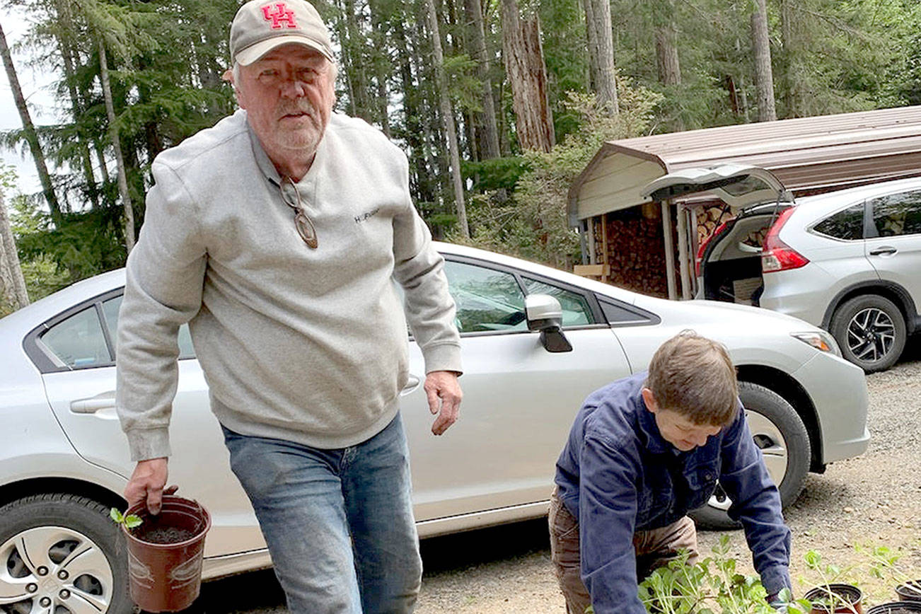 Dahlia expert Harold Jensen works with Cecile Culp on plant starts for the Quilcene Brinnon Garden Club's big plant sale Saturday and Sunday at the Brinnon Community Center. 
photo by Laurie Mattson