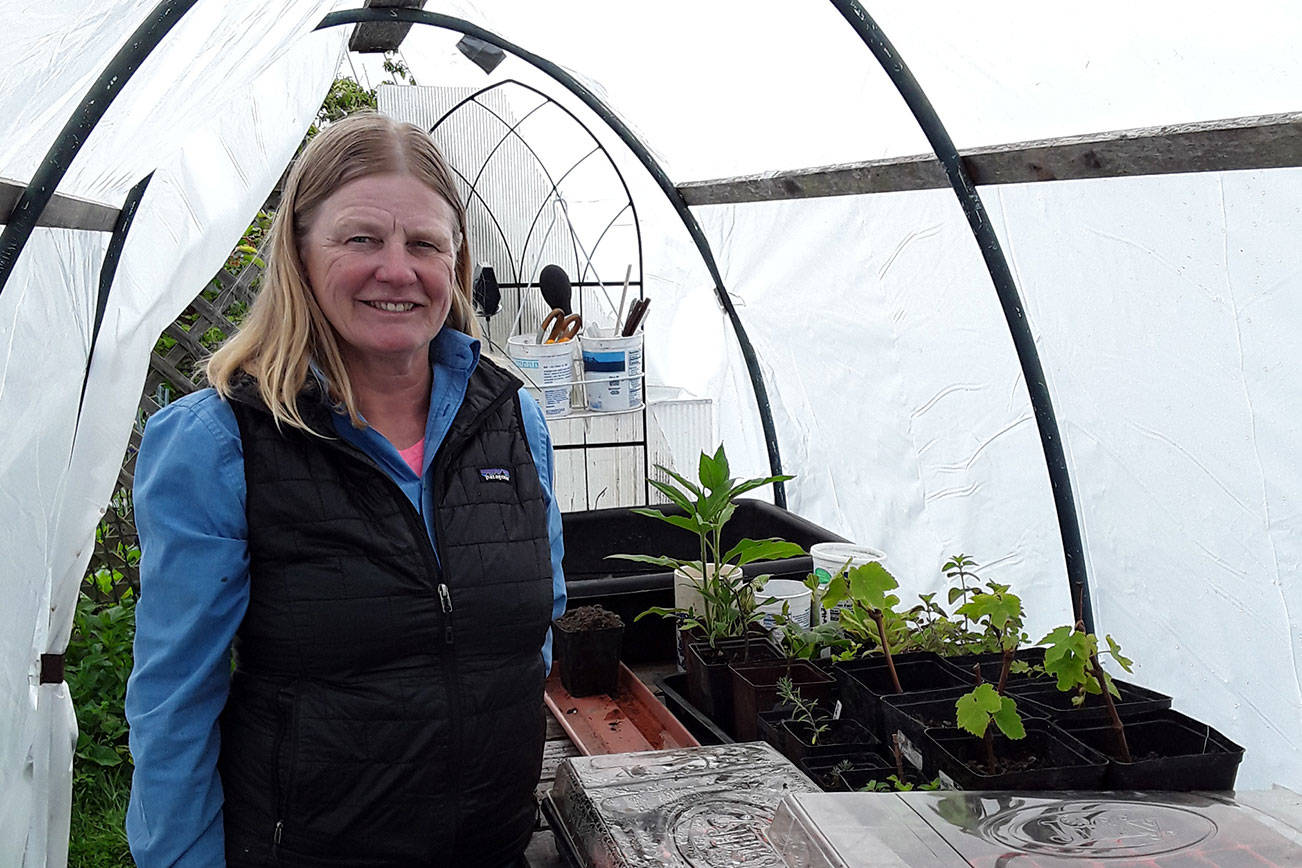 Local gardener Selinda Barkhuis will share her knowledge of gardening in an urban environment on Thursday via Zoom. (Submitted photo)