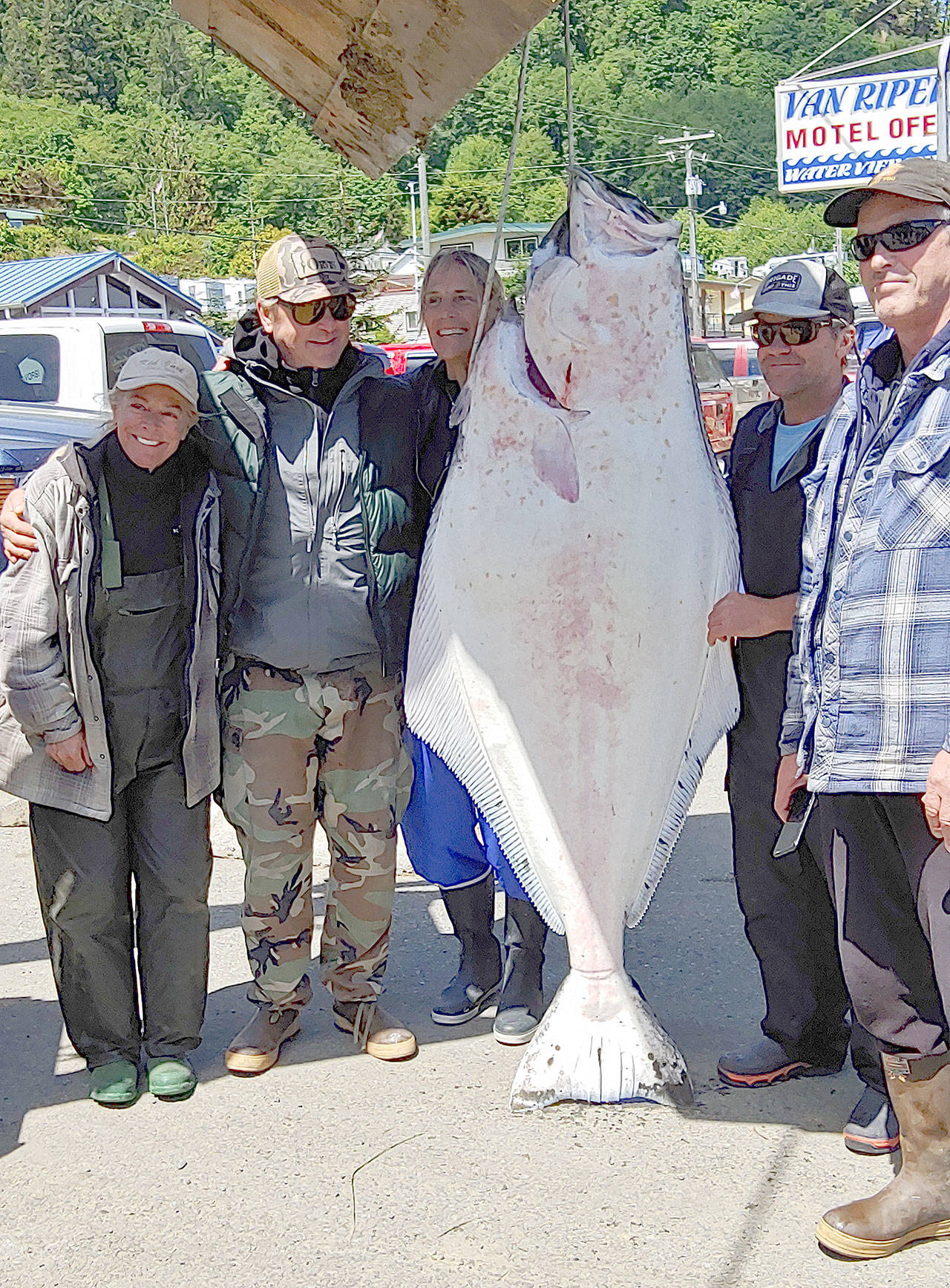 This 75-inch, 224-pound halibut was caught by Mike Mahoney of Park City, Utah, third from left, while fishing the Strait of Juan de Fuca out of Sekiu’s Van Riper’s Resort. The state record for Pacific halibut is a 288-pounder caught at Swiftsure Bank in September 1989.