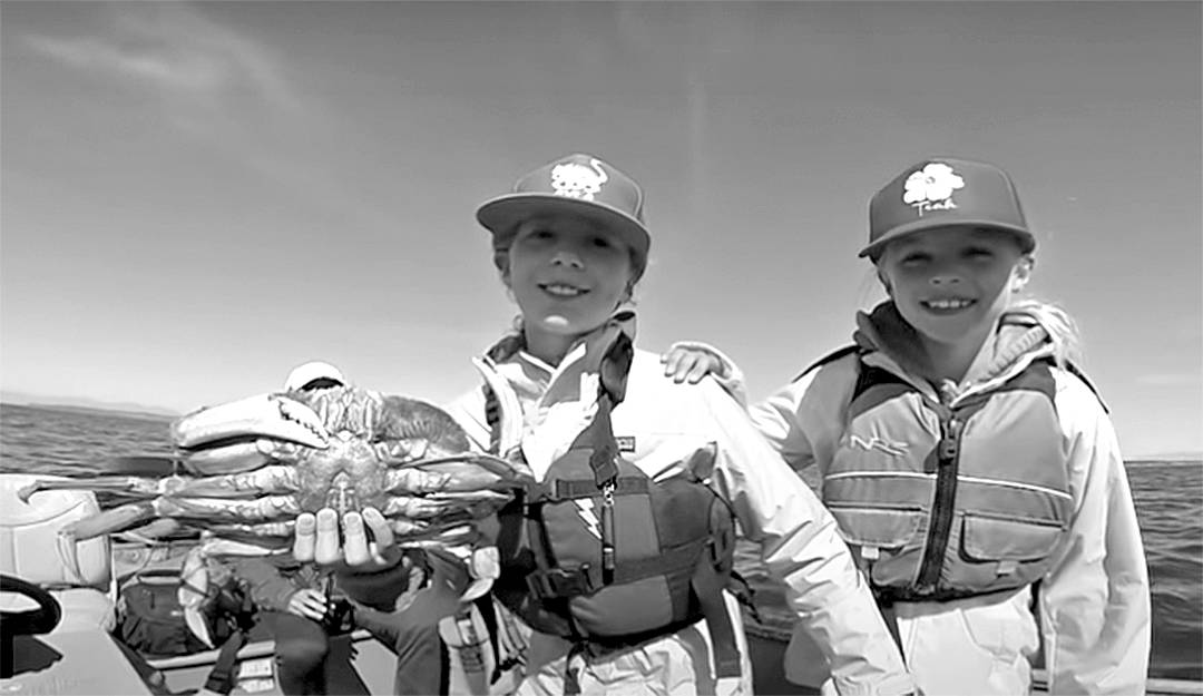 Image courtesy of WDFW
Crabbing season returns to the Strait of Juan de Fuca, Admiralty Inlet and most of the Hood Canal beginning July 1.