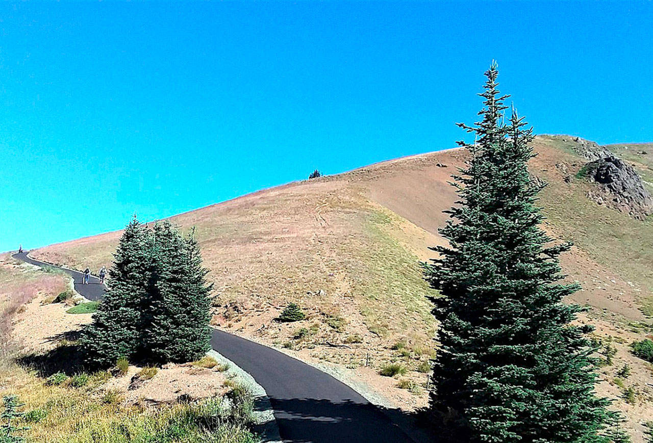 The newly rebuilt trail to the summit of Hurricane Hill was opened by Olympic National Park in August 2020. (Pierre LaBossiere/Peninsula Daily News)