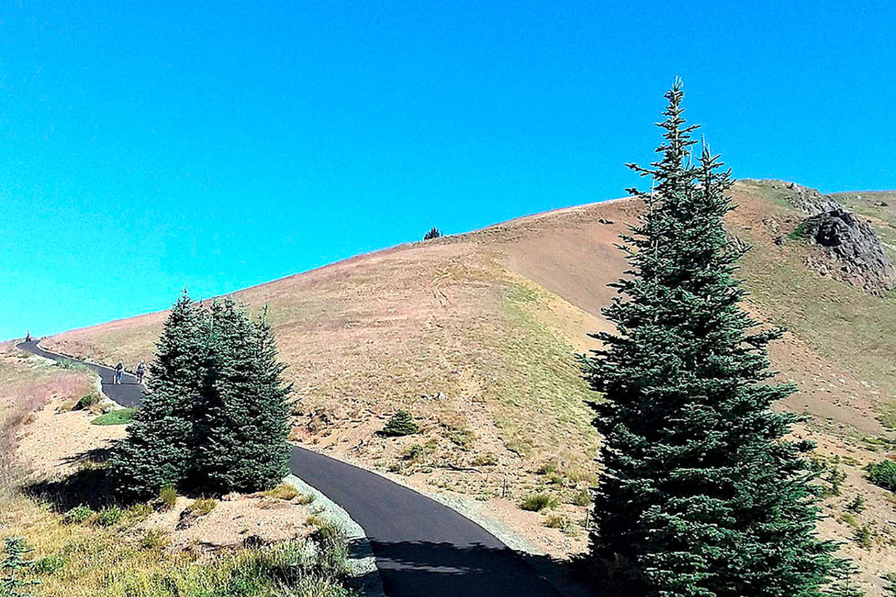 The newly rebuilt trail to the summit of Hurricane Hill was opened by Olympic National Park in August 2020. (Pierre LaBossiere/Peninsula Daily News)