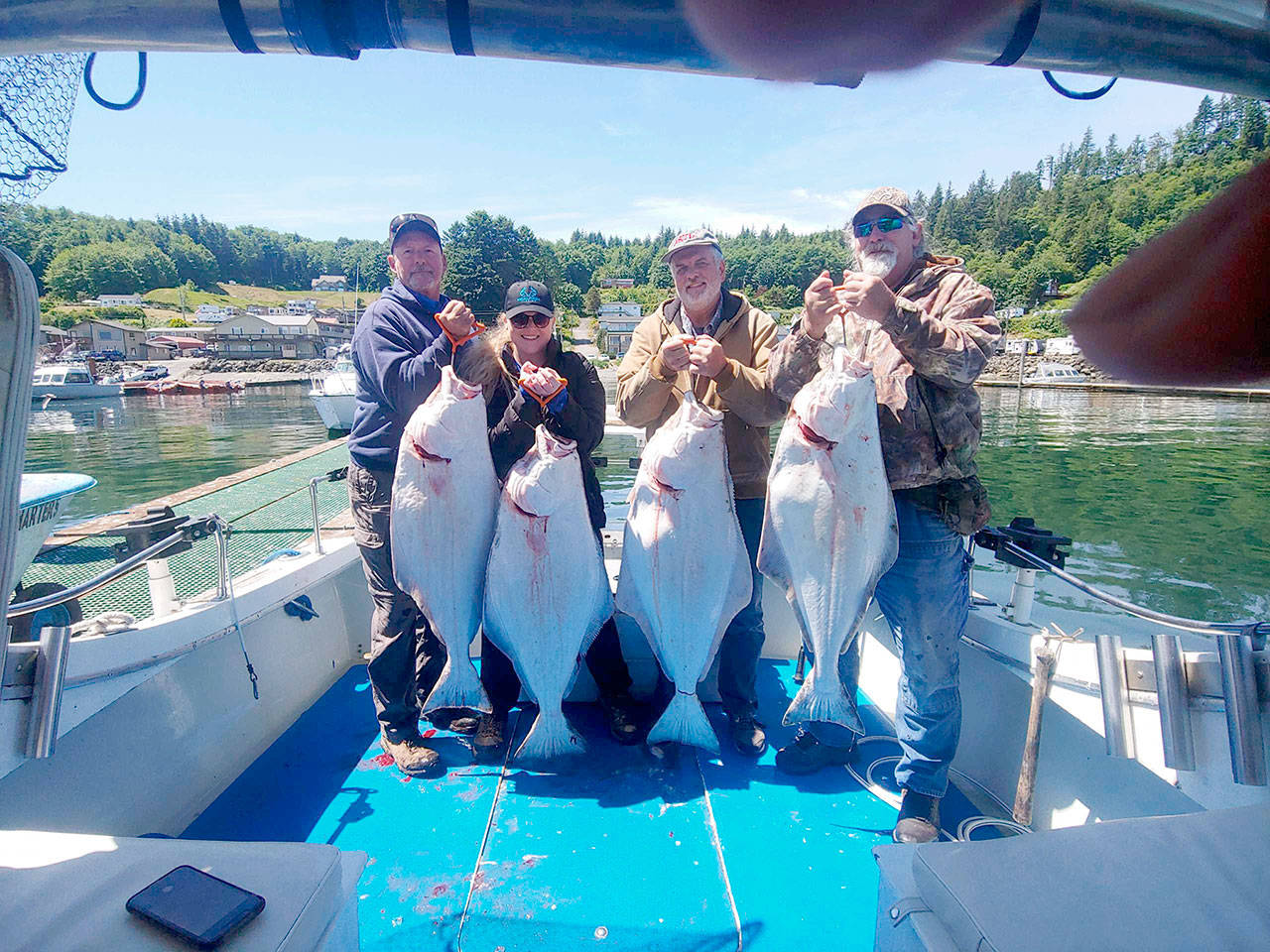 Anglers Dave Lewis, left, Alea Holloway, Doug Demmrell and Josh Kilmer, all from the Port Townsend and Sequim areas, caught these good-sized halibut while fishing the Pacific Ocean via Sekiu with Tom Burlingame of Excel Fishing Charters.