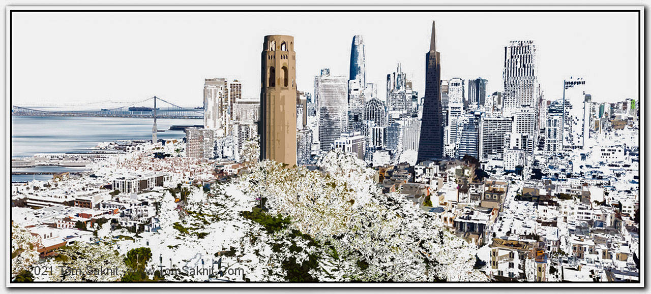 Tom Saknit’s work will be on display at Port Townsend Gallery in July.