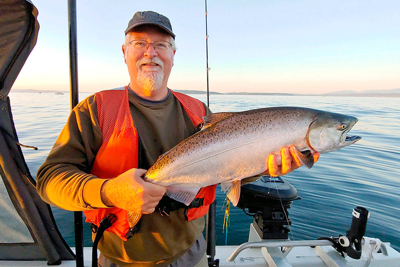 Dave Finney caught this hatchery chinook while fishing Midchannel Bank off Port Townsend on opening day in Marine Area 9 (Admiralty Inlet) in July of 2019.
