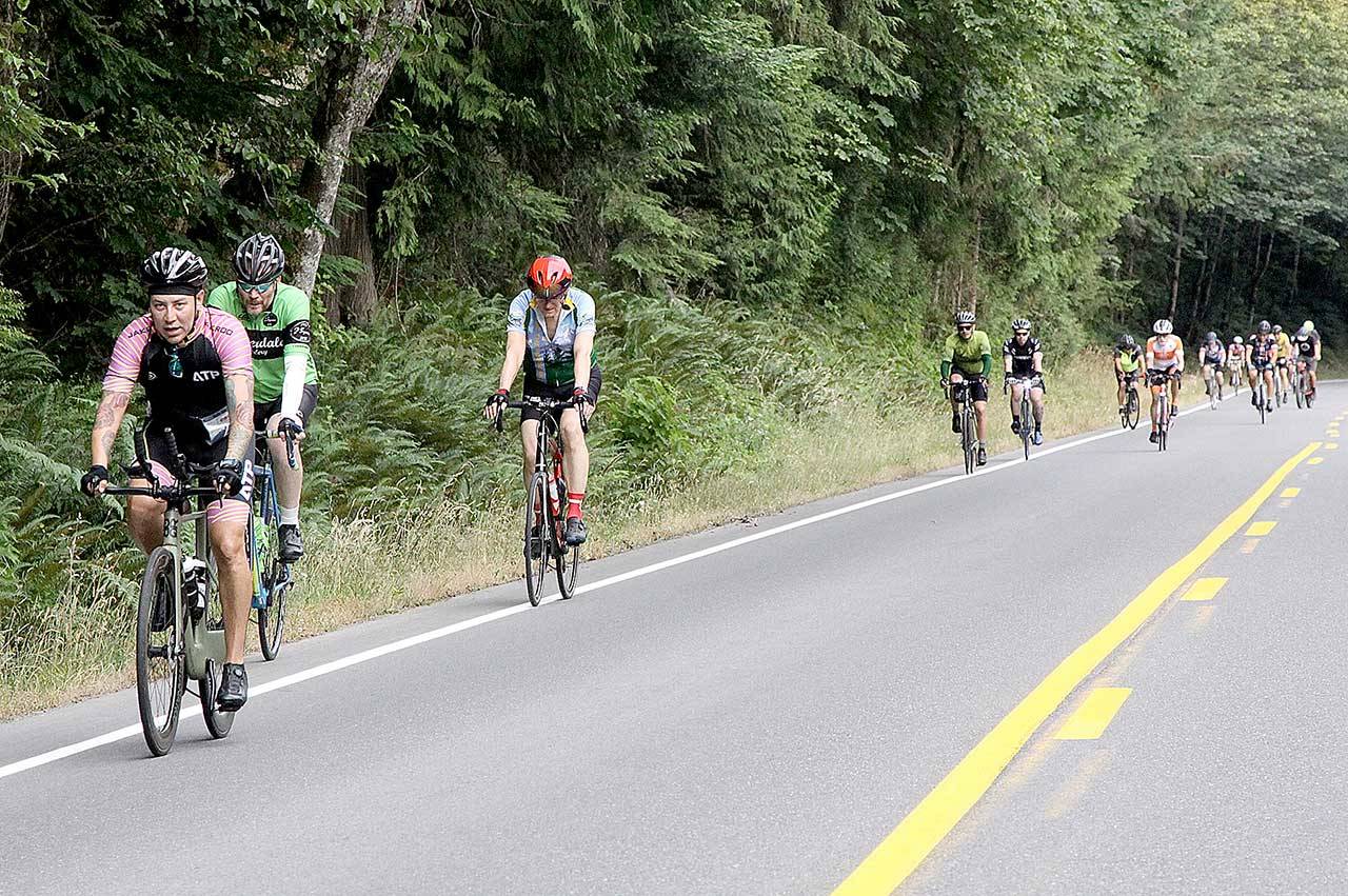 A large group of Ride the Hurricane bicyclists approach the Heart O’ the Hills near the beginning of the 17-mile trek up to 5,242 feet. About 800 riders participated in the event on Sunday with a round-trip ride to the top of Hurricane Ridge and back to Port Angeles. (Dave Logan/for Peninsula Daily News)