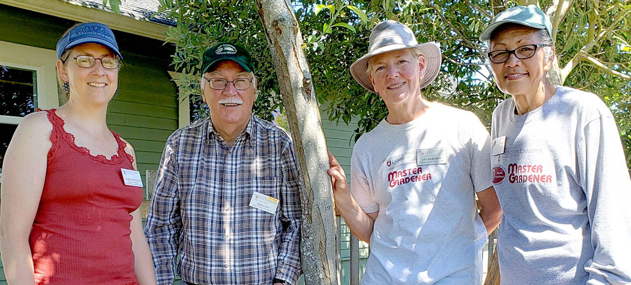 WSU Clallam County Master Gardeners Laurel Moulton, Bob Cain, Jan Bartron and Audreen Williams (from left to right) look forward to the first 2021 Second Saturday Walk at Fifth Street Community Garden, at 328 E. Fifth Street, Port Angeles. (Photo by Sara Farinelli)