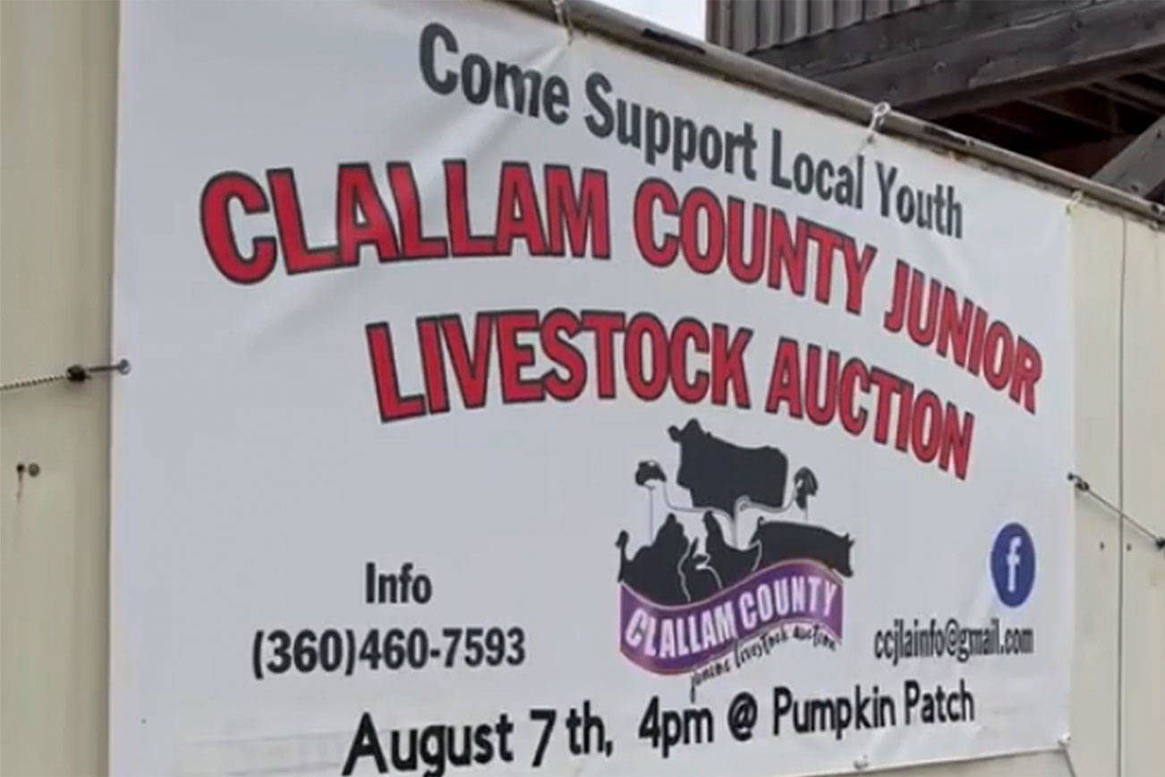 screenshot from video for teaser