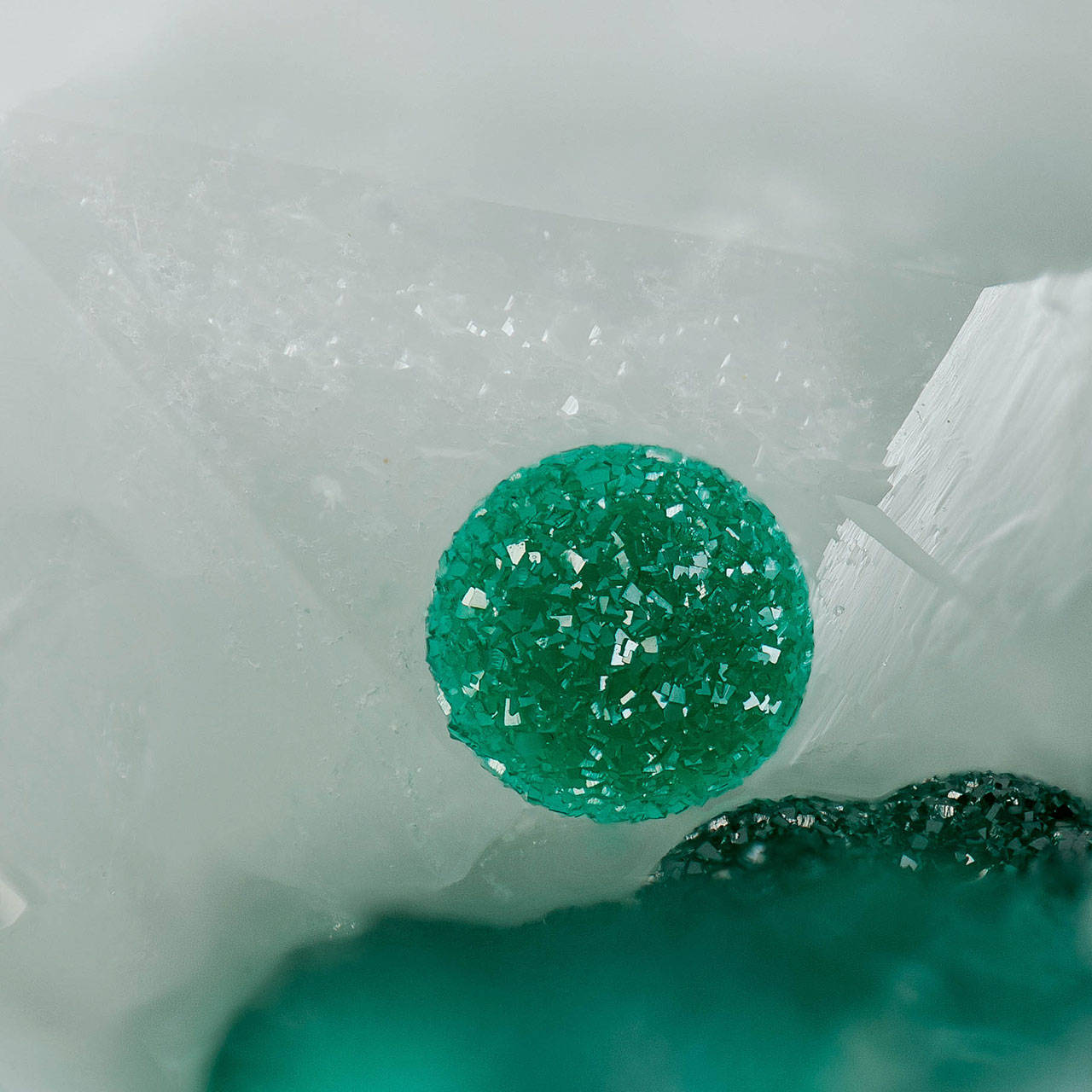 Photo by Bruce Kelley