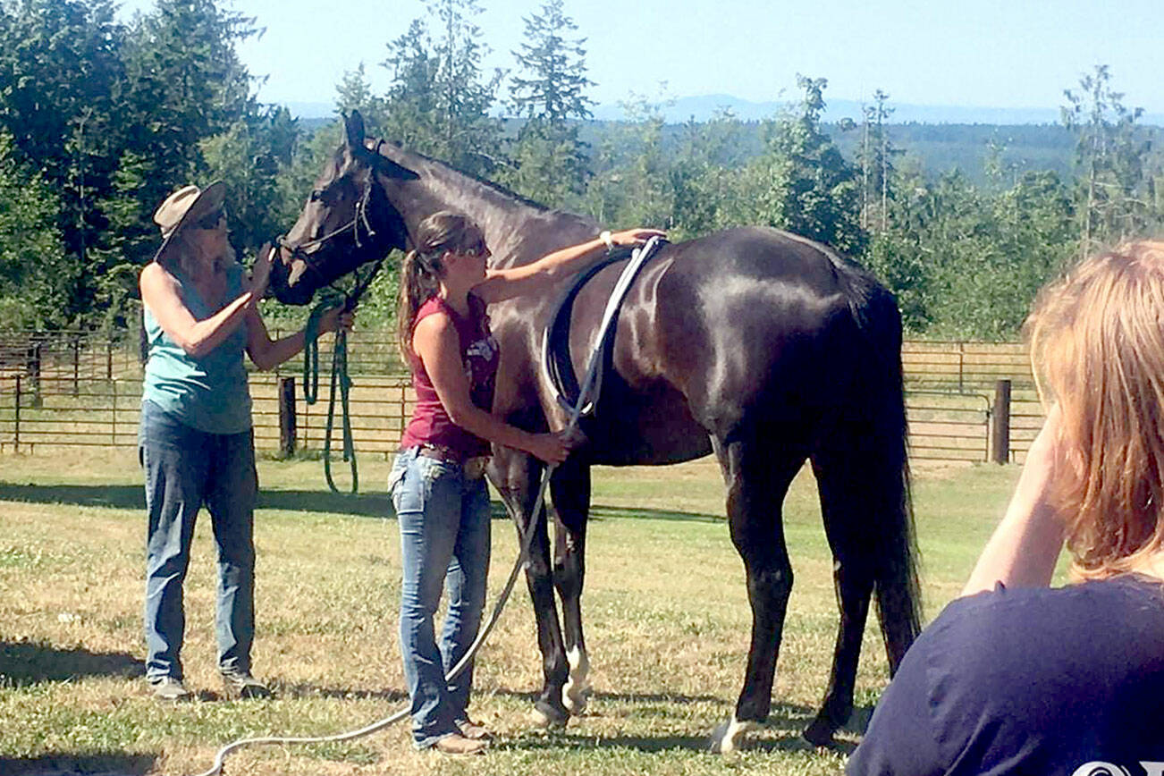 Photo by Karen Griffiths

Cutline; To promote healing caused by an injury Dayna  Killam performs pulsed electromagnetic field therapy on Nova, a horse owned by Lori Colson George during an Olympic Peninsula Equine Network fundraising event held at Layton Hill Horse Camp in Sequim.