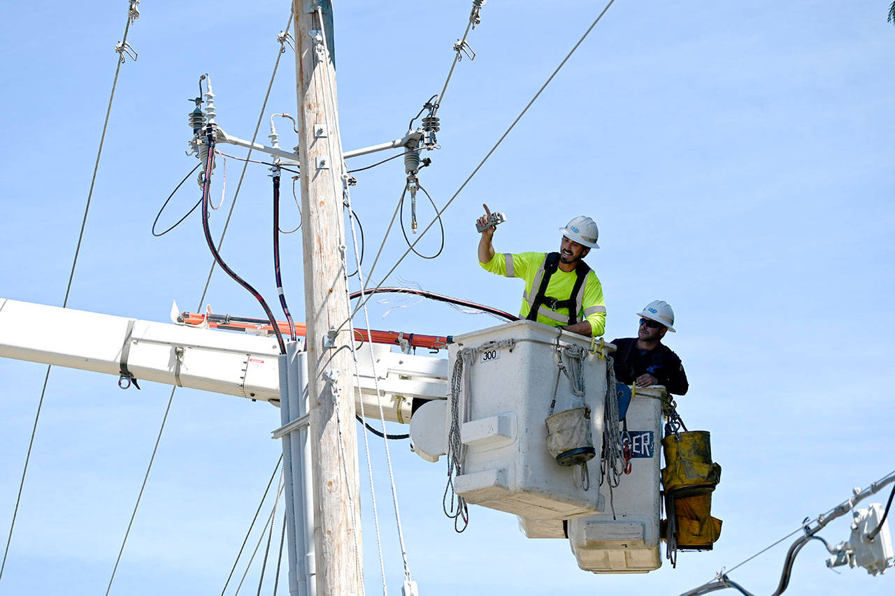 Workers from Clallam County PUD in August work on a project to bury power lines on Kirner Road. The effort, completed in September, will allow seasonal resident trumpeter swans to safely take off from nearby Kirner Pond. (Michael Dashiell/Olympic Peninsula News Group)