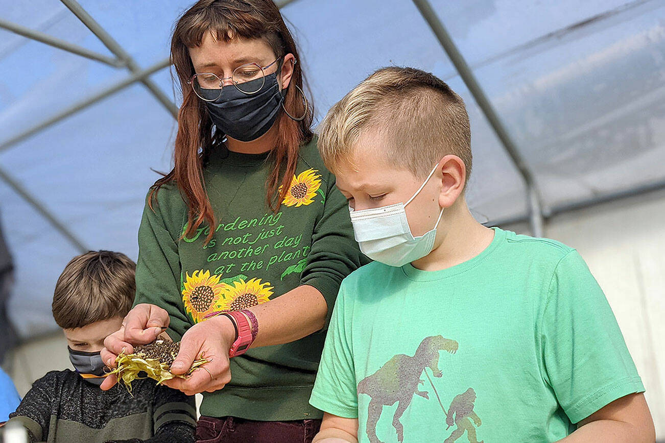 Educator Carrie Walker works with students in Quilcene at the school garden, one of the locations supported by the Jefferson County Community Wellness Project. The project, which has its dinner-and-a-movie event Thursday, connects local schools, gardens and farms.  photo courtesy Community Wellness Project