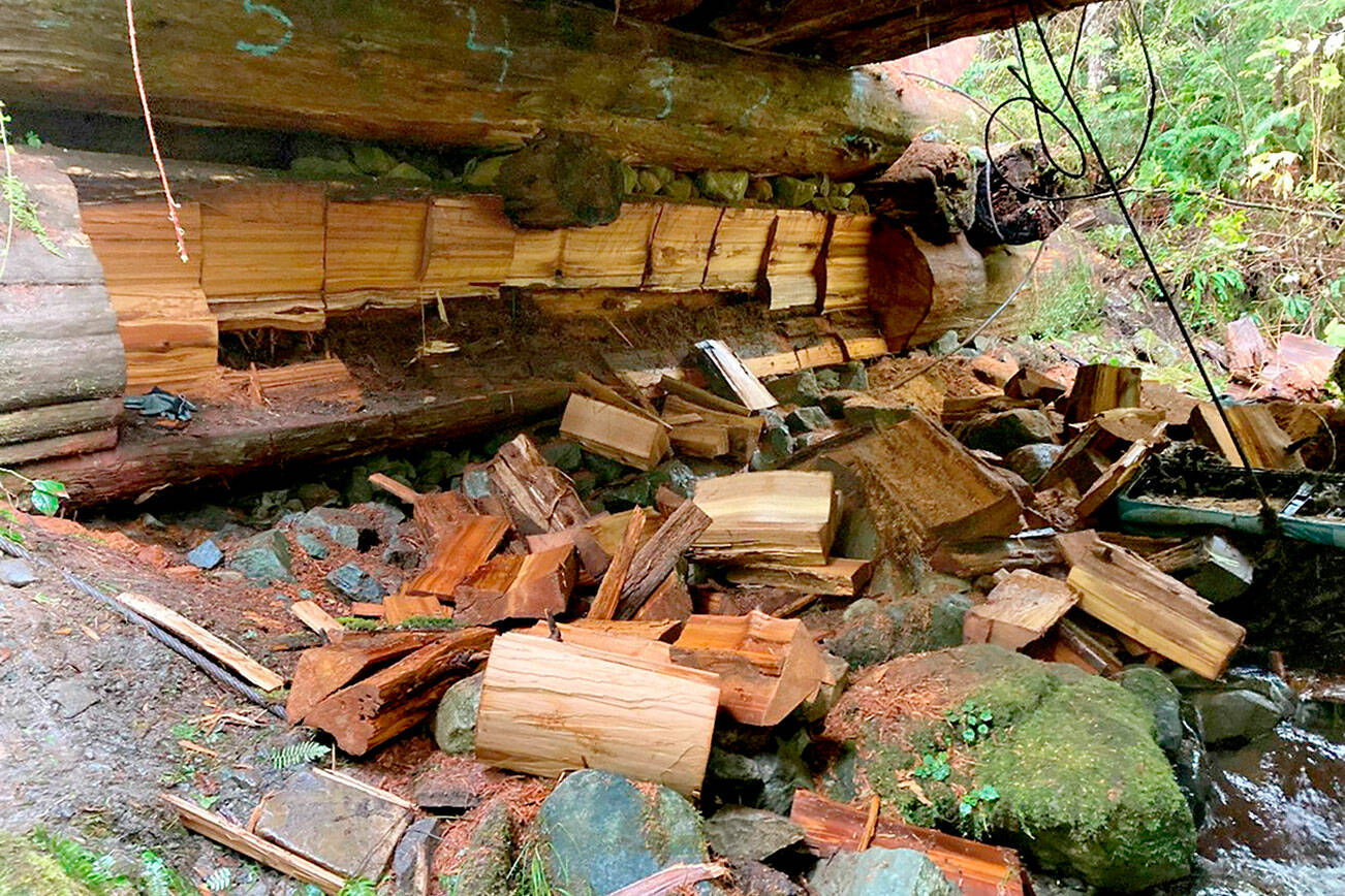 Two Forks men are accused of cutting chunks of cedar from a state Department of Natural Resources bridge at a DNR property on the Upper Hoh Road in West Jefferson County. (Photo courtesy of Department of Natural Resources)