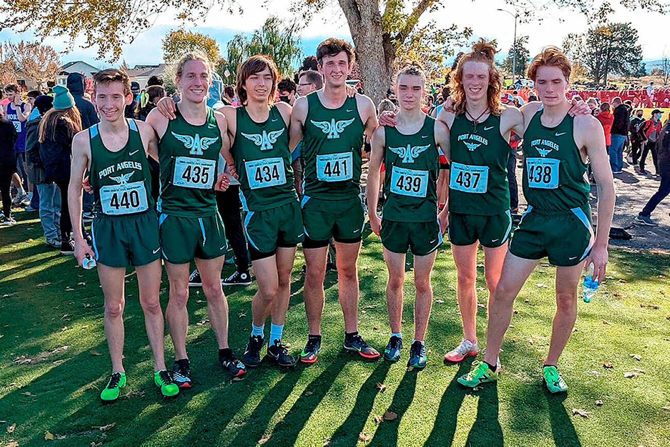 The Port Angeles boys cross-country team finished fifth in the state at the 2A state championships Saturday. From left, are Langdon Larson, Josh Gavin, Max Baeder, Naaman McGuffey, Kowen Kasten, Jack Gladfelter and Jason Gladfelter. (Photo courtesy of Rodger Johnson)