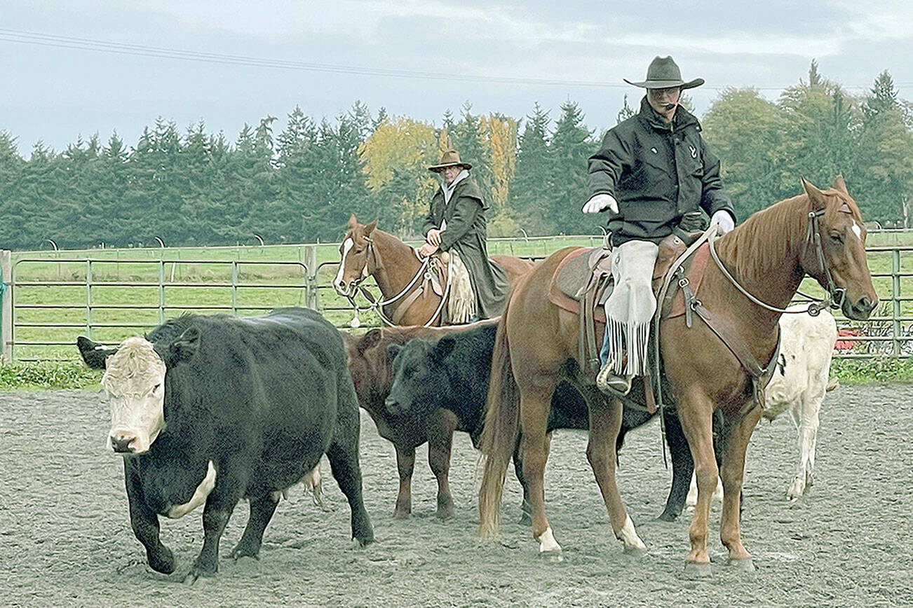 Visiting clinician Martin Black instructs the principles of working with cows to students earlier this month at Freedom Farm in Agnew. He’ll be back to give another clinic on horsemanship skills the week of March 16-20. For more information, call Mary Gallagher at 360-457-4897. (Submitted photo)