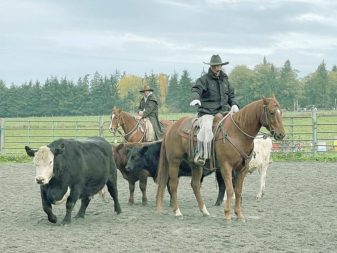 Visiting clinician Martin Black instructs the principles of working with cows to students earlier this month at Freedom Farm in Agnew. He’ll be back to give another clinic on horsemanship skills the week of March 16-20. For more information, call Mary Gallagher at 360-457-4897. (Submitted photo)
