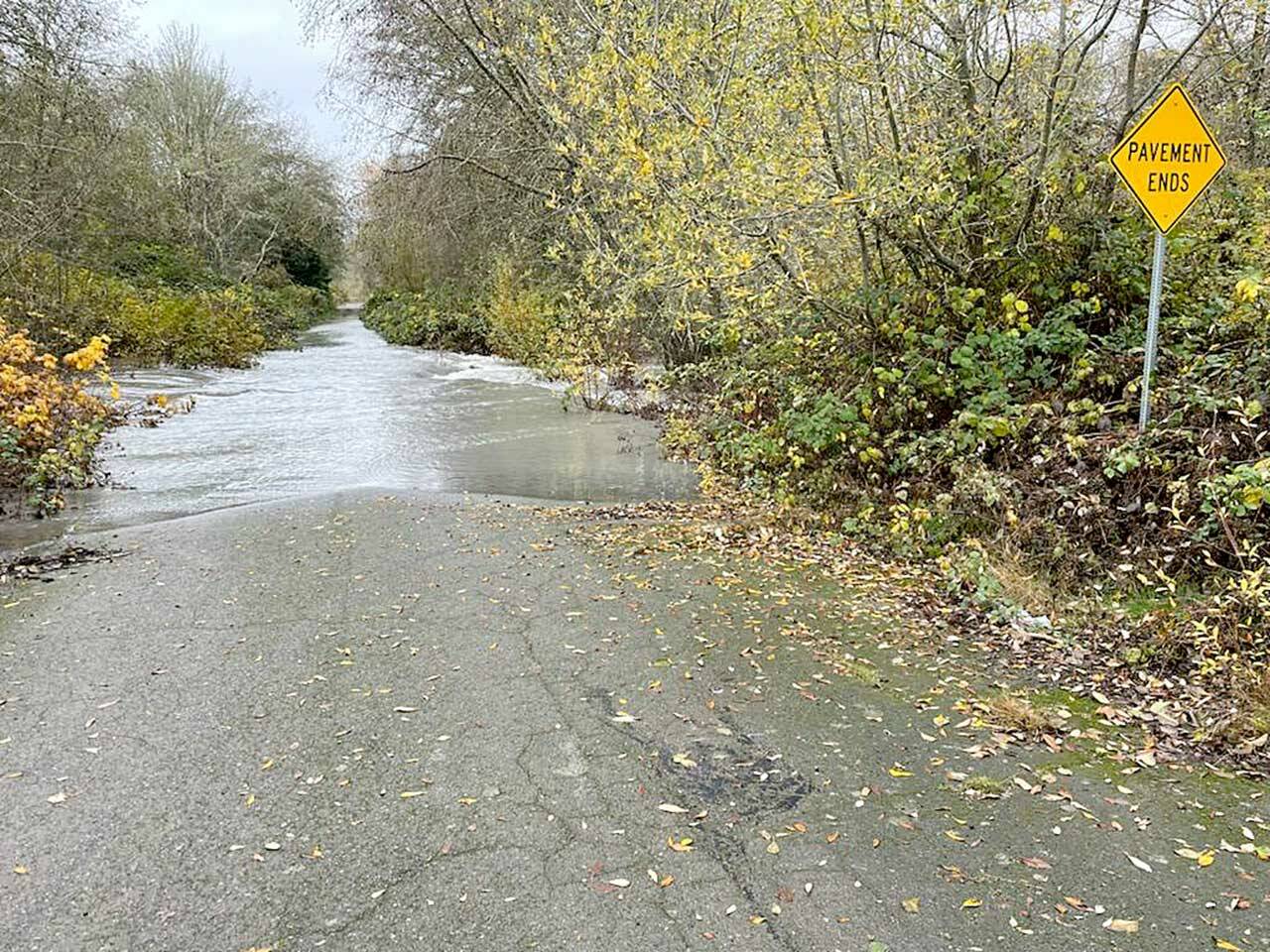 The Elwha River breached its banks by Sunday morning at the end of Lower Elwha Road after recent heavy rain. The weather forecast calls for more rain Monday morning before a possibility of some clearing and sunshine on Tuesday. (Paul Gottlieb/Peninsula Daily News)