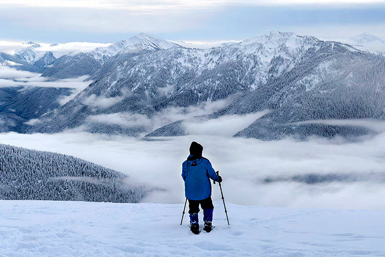 A visitor to Hurricane Ridge pauses to take in the expanse of mountain peaks apparently floating above the lowland clouds. (John Gussman)