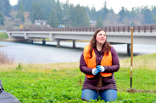 Sarah Doyle, the North Olympic Salmon Coalition’s program and partnership manager, demonstrates the planting of a tree near the Kilisut Harbor bridge between Marrowstone and Indian islands. (Diane Urbani de la Paz/Peninsula Daily News)
