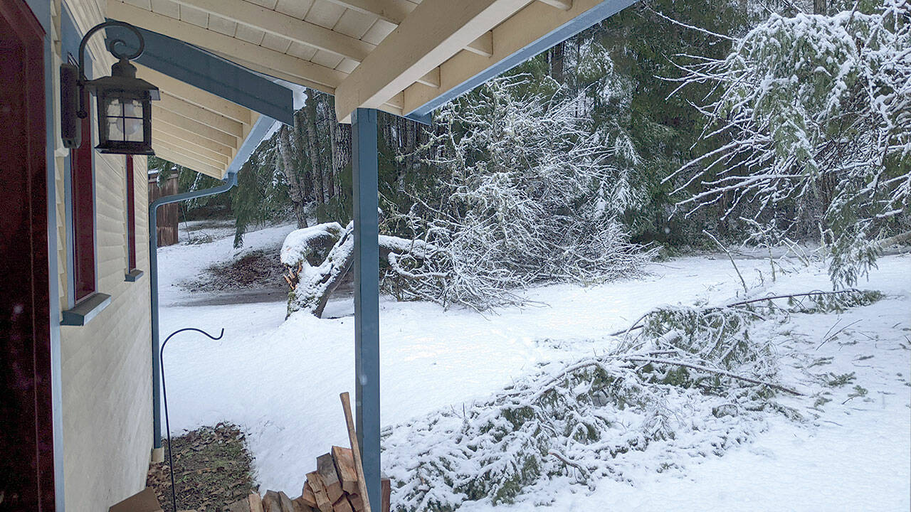 Snow blankets the Toandos Peninsula, where high winds tore through trees, as seen in this photo from near Fisherman Harbor. (Photo courtesy Karen Grooms)