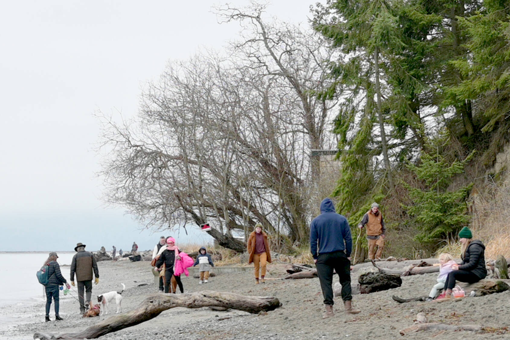 Paul Gottlieb/Peninsula Daily News
Port Williams Beach north of Seqwuim was a popular destination Sunday for strollers and dog walkers.