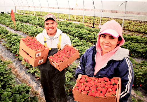 Brian Walsh’s image of Squaxin Island tribal member Sally Brownfield is part of the “We Are Puget Sound” photo exhibit hosted by the Port Townsend Marine Science Center. (Brian Walsh)