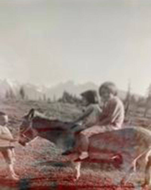 A young Pat Neal holds the lead rope for his sisters on the back of Cinderella the donkey.