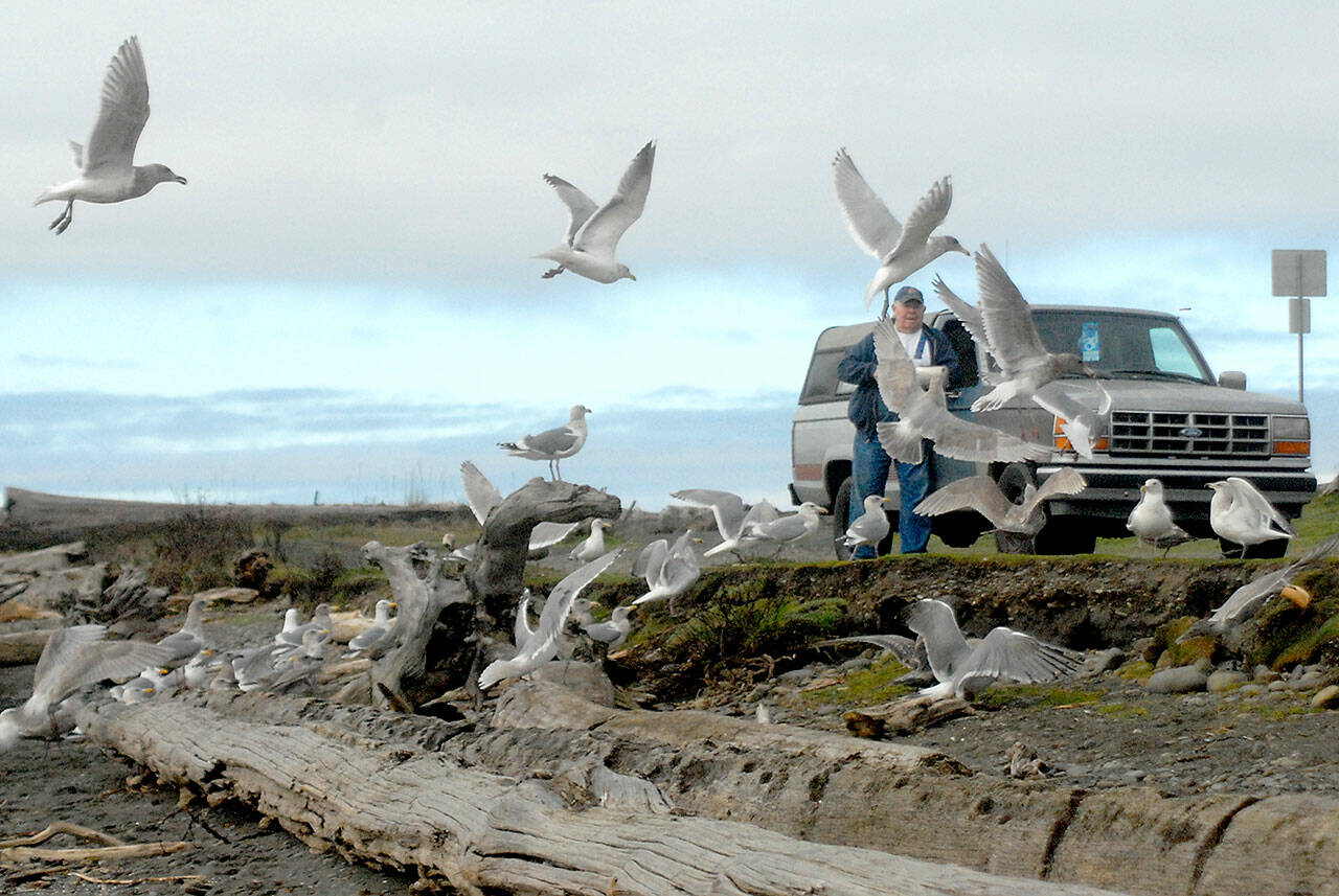 Kenneth Tachell of Port Angeles is surrounded by seagulls as he tosses out bread crumbs on Thursday at Ediz Hook in Port Angeles. Tachell said he frequently visits the sand spit to feed and admire the birds. (Keith Thorpe/Peninsula Daily News)